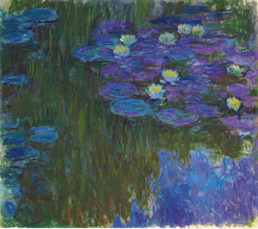Nymphéas en fleur