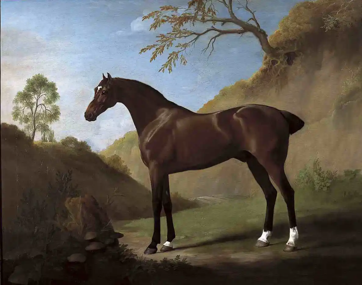 Horse landscape painting by George Stubbs titled "A Dark Bay Thoroughbred in a Landscape" from 1762-68.